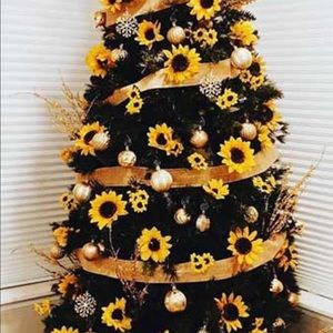 Meet your Posher, Lois